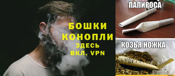 шишки Богородск