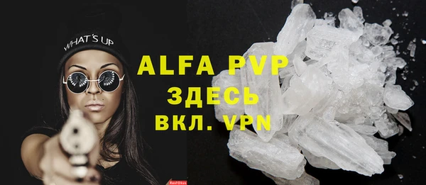 амф Бородино