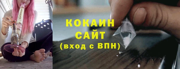 крисы Бугульма