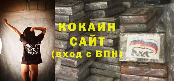 амф Бородино