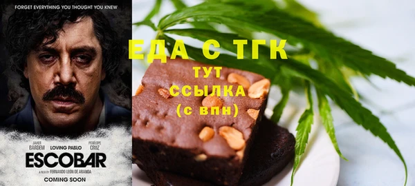 амф Бородино