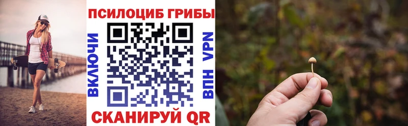 KRAKEN онион  Сретенск  Псилоцибиновые грибы Psilocybine cubensis  купить  